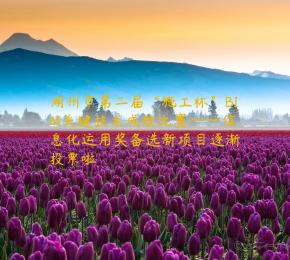 湖州市第二届“施工杯”BIM关键技术成效比赛——信息化运用奖备选新项目逐渐投票啦