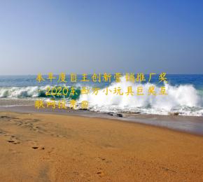 本年度自主创新营销推广奖·2020东西方小玩具巨奖互联网投票⑧