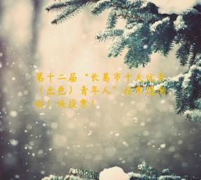 第十二届“长葛市十大优秀（出色）青年人”投票逐渐啦！快投票！