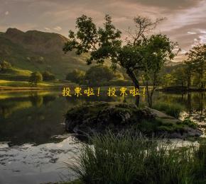 投票啦！投票啦！